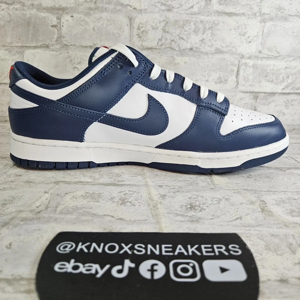 Nike Dunk Low Velarian Blue White Leather DD1391-400 Men's Size 12